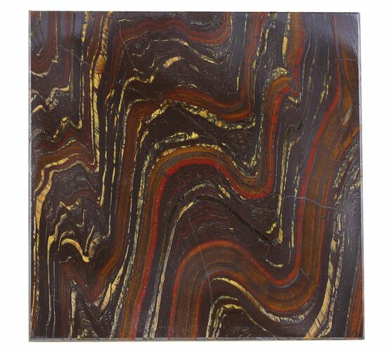 Tiger Iron Stromatolite Shower Tile - Billion Years Old #48795